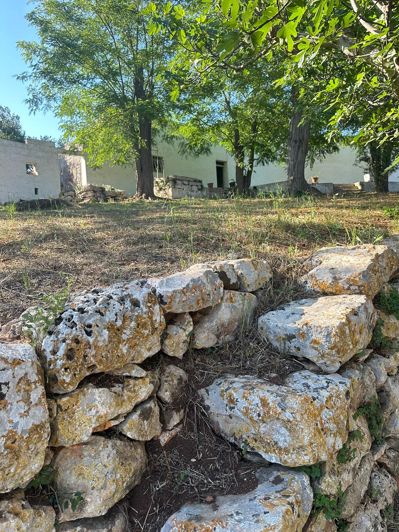 Image No.16-Propriété de 2 chambres à vendre à Ceglie Messapica