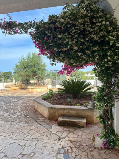 Image No.10-5 Bed Villa for sale