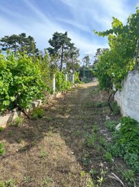 whatsapp-image-2024-06-05-at-174634