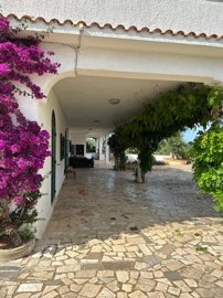 whatsapp-image-2024-06-05-at-174220