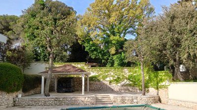 whatsapp-image-2024-06-16-at-124324-5