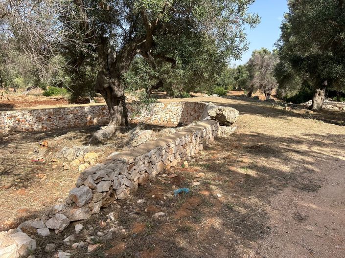 Image No.10-Masseria de 10 chambres à vendre à Carovigno