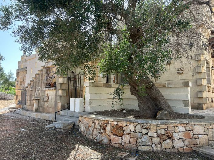 Image No.11-Masseria de 10 chambres à vendre à Carovigno