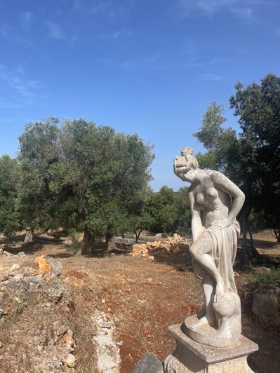 Image No.6-Masseria de 10 chambres à vendre à Carovigno