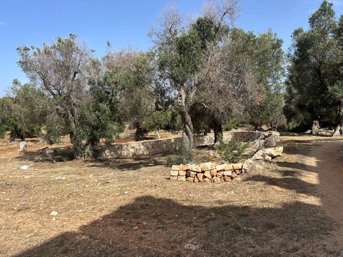 Image No.9-Masseria de 10 chambres à vendre à Carovigno