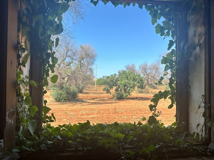 Image No.12-Propriété de 2 chambres à vendre à San Vito dei Normanni