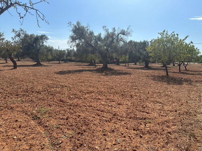 Image No.14-Propriété de 2 chambres à vendre à San Vito dei Normanni