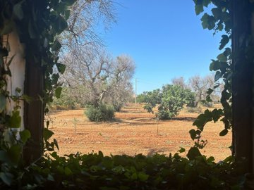 whatsapp-image-2024-06-24-at-160707