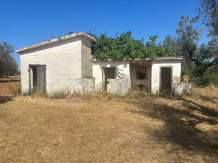 Image No.3-Propriété de 2 chambres à vendre à San Vito dei Normanni