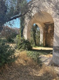 whatsapp-image-2024-06-24-at-160525