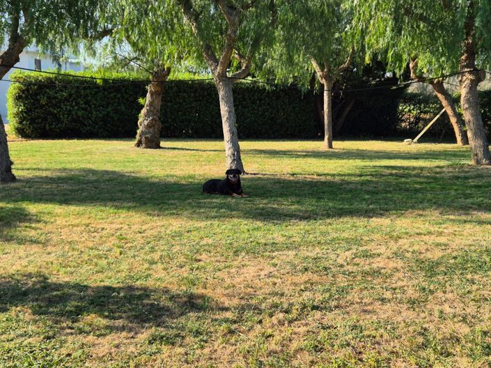 Image No.13-3 Bed Villa for sale