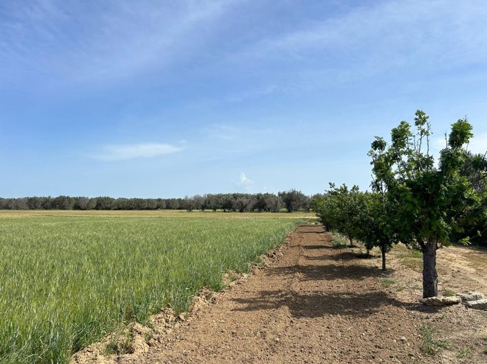 Image No.33-3 Bed Villa for sale