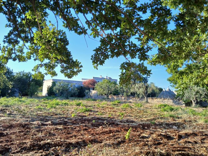 Image No.6-Propriété de 6 chambres à vendre à Cisternino