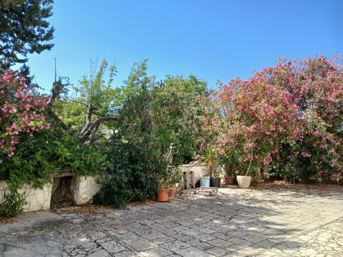 Image No.8-Propriété de 6 chambres à vendre à Cisternino