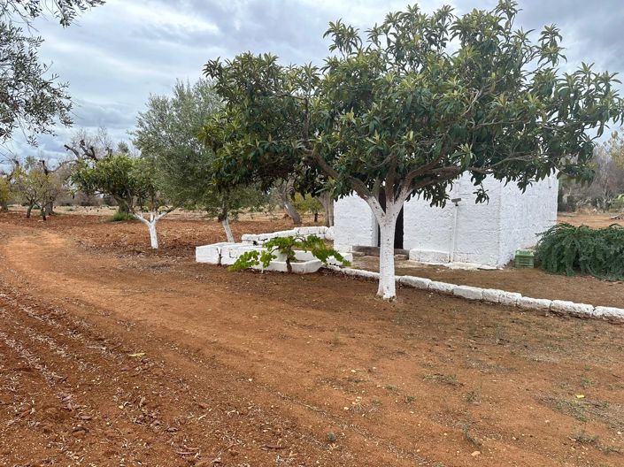 Image No.2-Propriété de 1 chambre à vendre à Carovigno