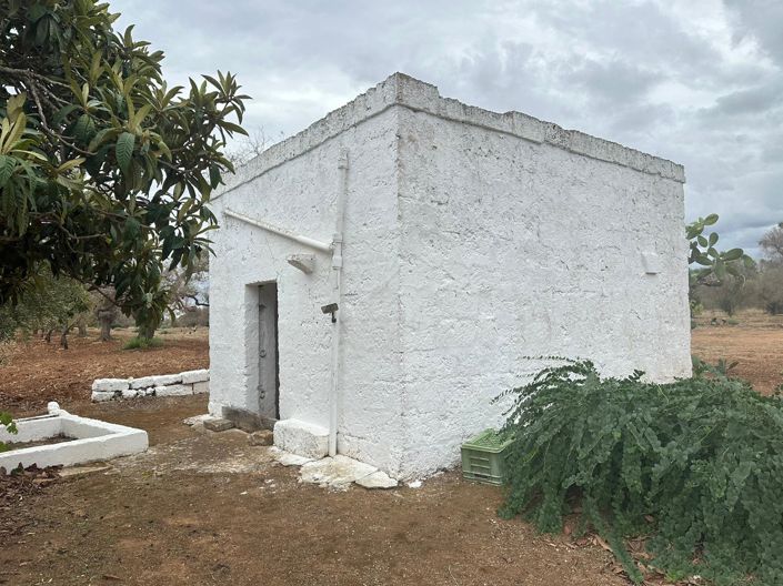 Image No.3-Propriété de 1 chambre à vendre à Carovigno