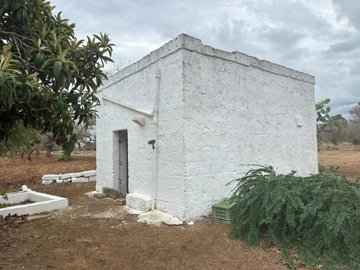 whatsapp-image-2024-09-16-at-113852-copy-4