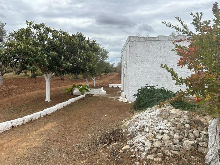 Image No.4-Propriété de 1 chambre à vendre à Carovigno
