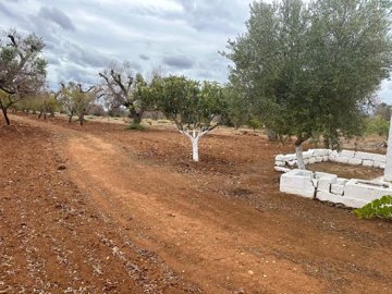 whatsapp-image-2024-09-16-at-113852-copy-3