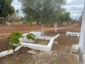 whatsapp-image-2024-09-16-at-113853