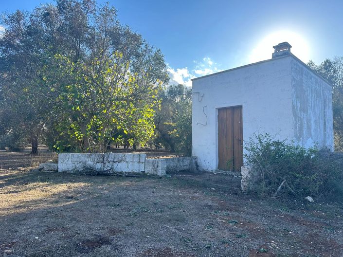 Image No.10-Propriété de 1 chambre à vendre à San Vito dei Normanni