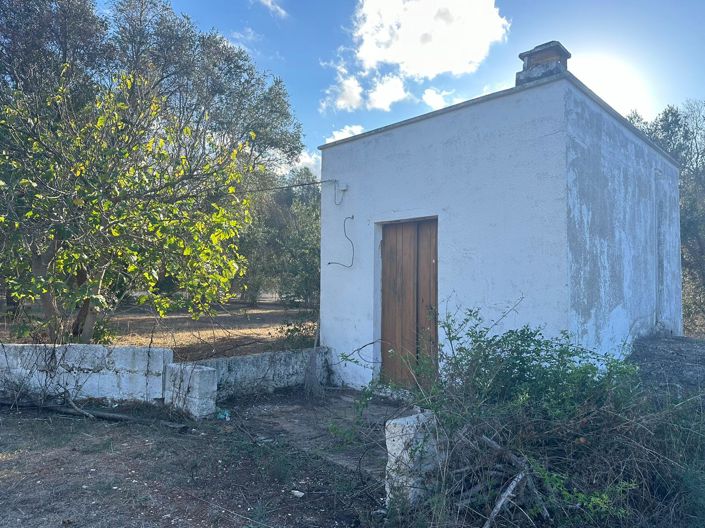 Image No.2-Propriété de 1 chambre à vendre à San Vito dei Normanni