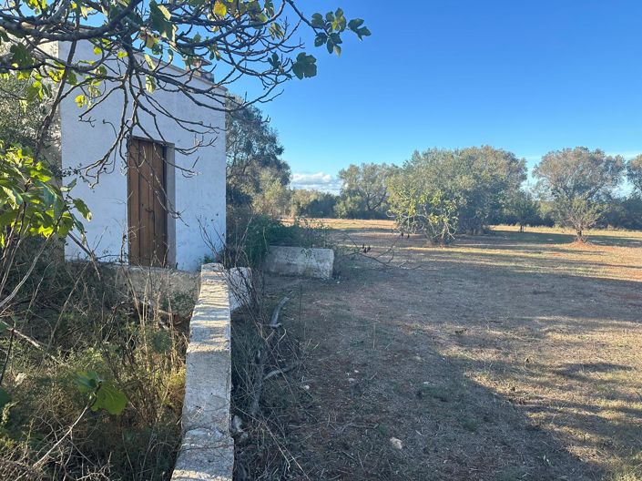 Image No.3-Propriété de 1 chambre à vendre à San Vito dei Normanni