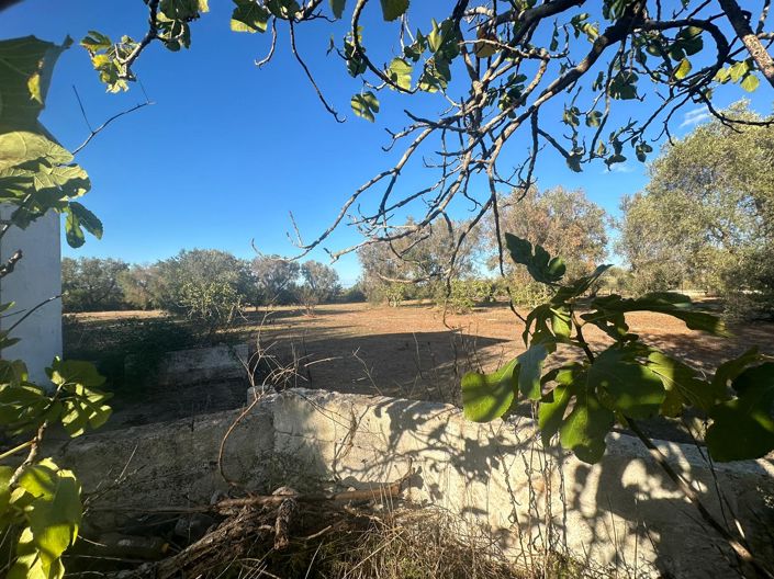 Image No.5-Propriété de 1 chambre à vendre à San Vito dei Normanni
