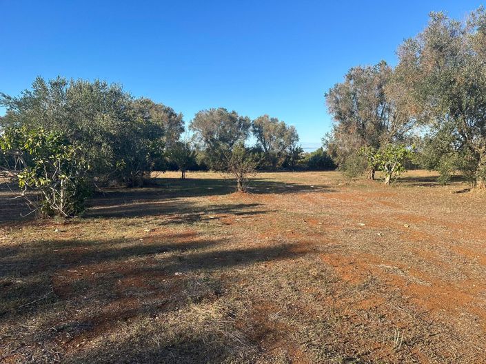 Image No.6-Propriété de 1 chambre à vendre à San Vito dei Normanni