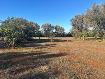 whatsapp-image-2024-10-06-at-163655