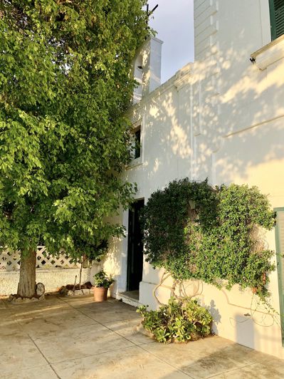 Image No.33-Propriété de 7 chambres à vendre à Oria