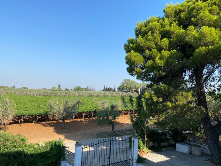 Image No.38-Propriété de 7 chambres à vendre à Oria