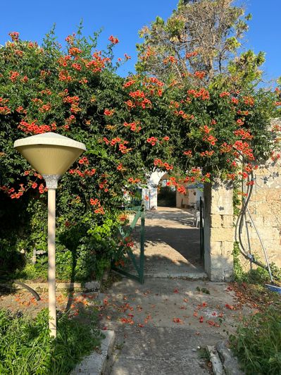 Image No.39-Propriété de 7 chambres à vendre à Oria