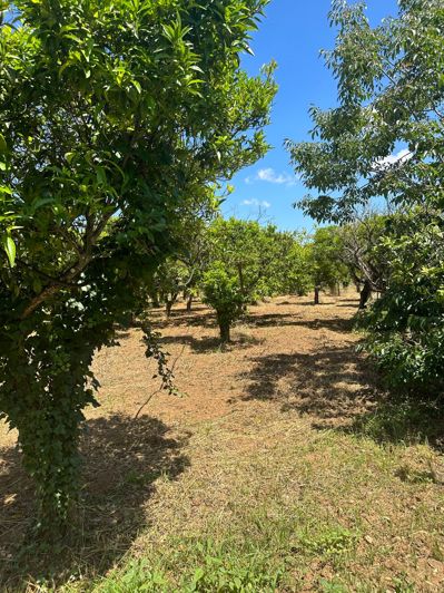 Image No.41-Propriété de 7 chambres à vendre à Oria