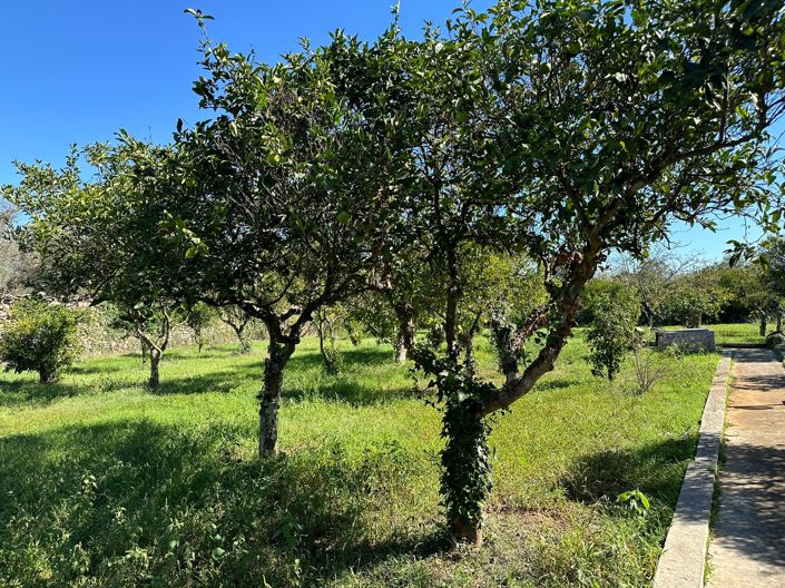 Image No.44-Propriété de 7 chambres à vendre à Oria