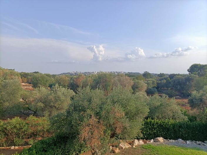 Image No.22-Propriété de 4 chambres à vendre à Ceglie Messapica