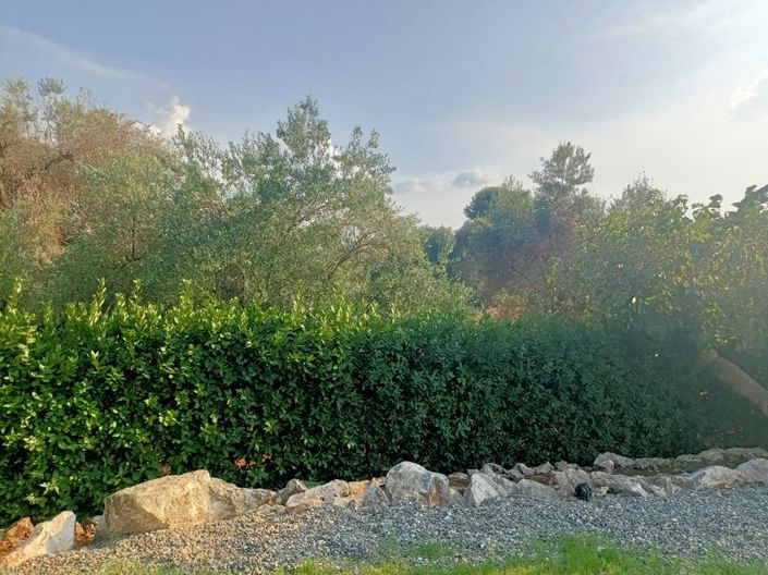 Image No.23-Propriété de 4 chambres à vendre à Ceglie Messapica