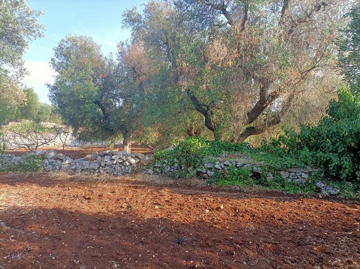 Image No.24-Propriété de 4 chambres à vendre à Ceglie Messapica