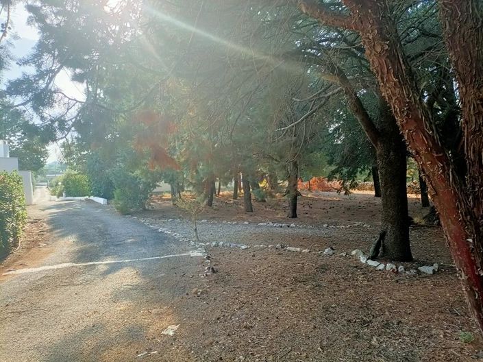 Image No.35-Propriété de 4 chambres à vendre à Ceglie Messapica