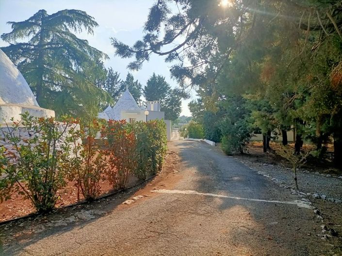 Image No.38-Propriété de 4 chambres à vendre à Ceglie Messapica