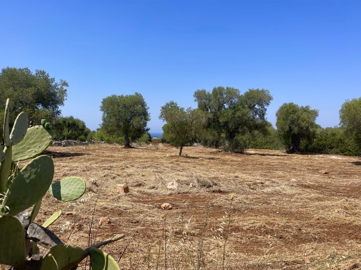 Image No.4-3 Bed Property for sale