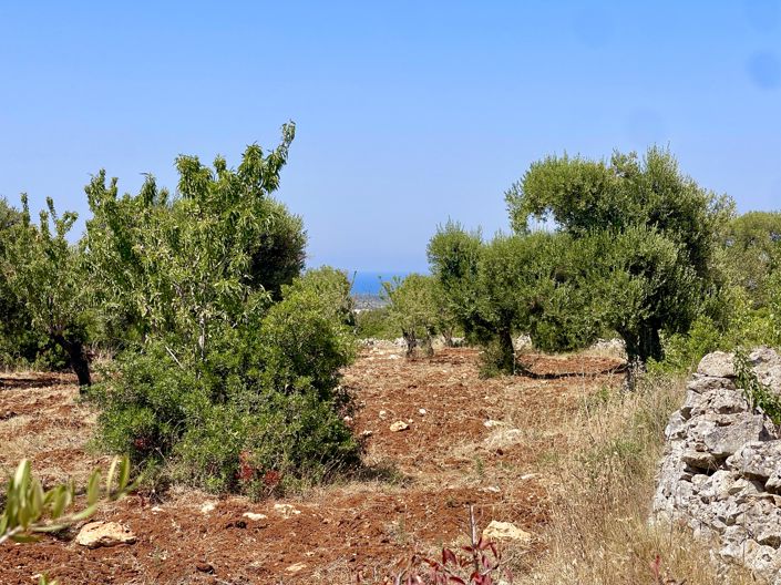 Image No.8-3 Bed Property for sale