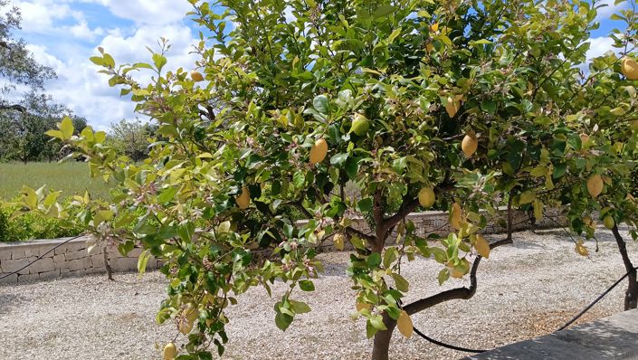 Image No.28-6 Bed Property for sale