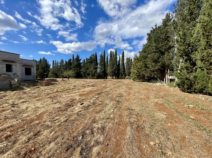 Image No.5-Propriété de 4 chambres à vendre à Carovigno