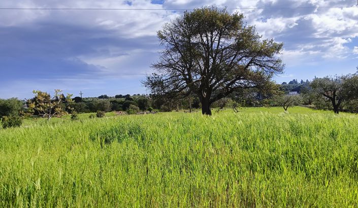 Image No.23-3 Bed Property for sale