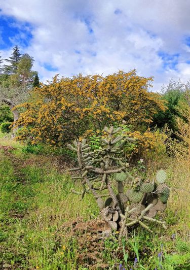 Image No.25-3 Bed Property for sale