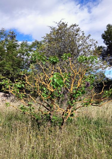 Image No.26-3 Bed Property for sale