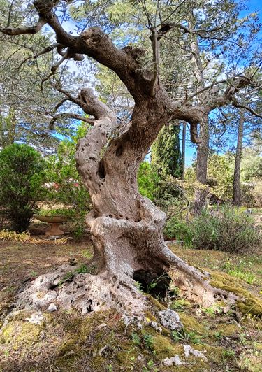 Image No.33-3 Bed Property for sale