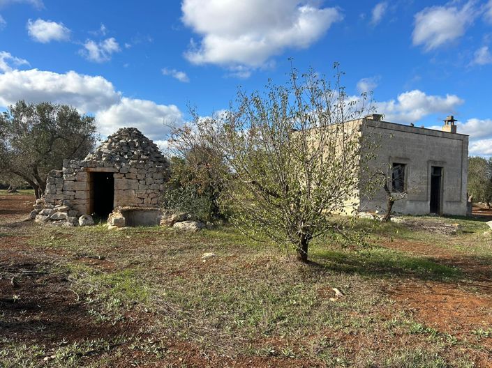 Image No.4-Propriété de 2 chambres à vendre à San Vito dei Normanni