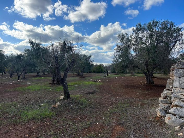 Image No.11-Propriété de 2 chambres à vendre à San Vito dei Normanni